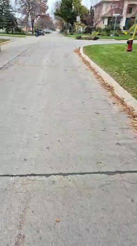 Road in Richmond West discussed in Dr. Uche Nwankwo's neighbourhood infrastructure video